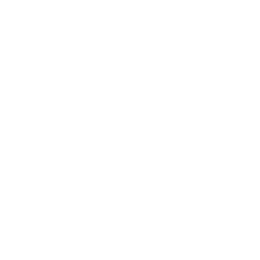 icon information about Chicago